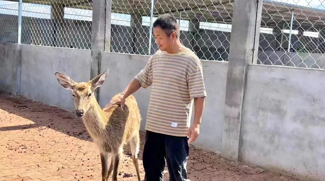 夺宝游戏中心